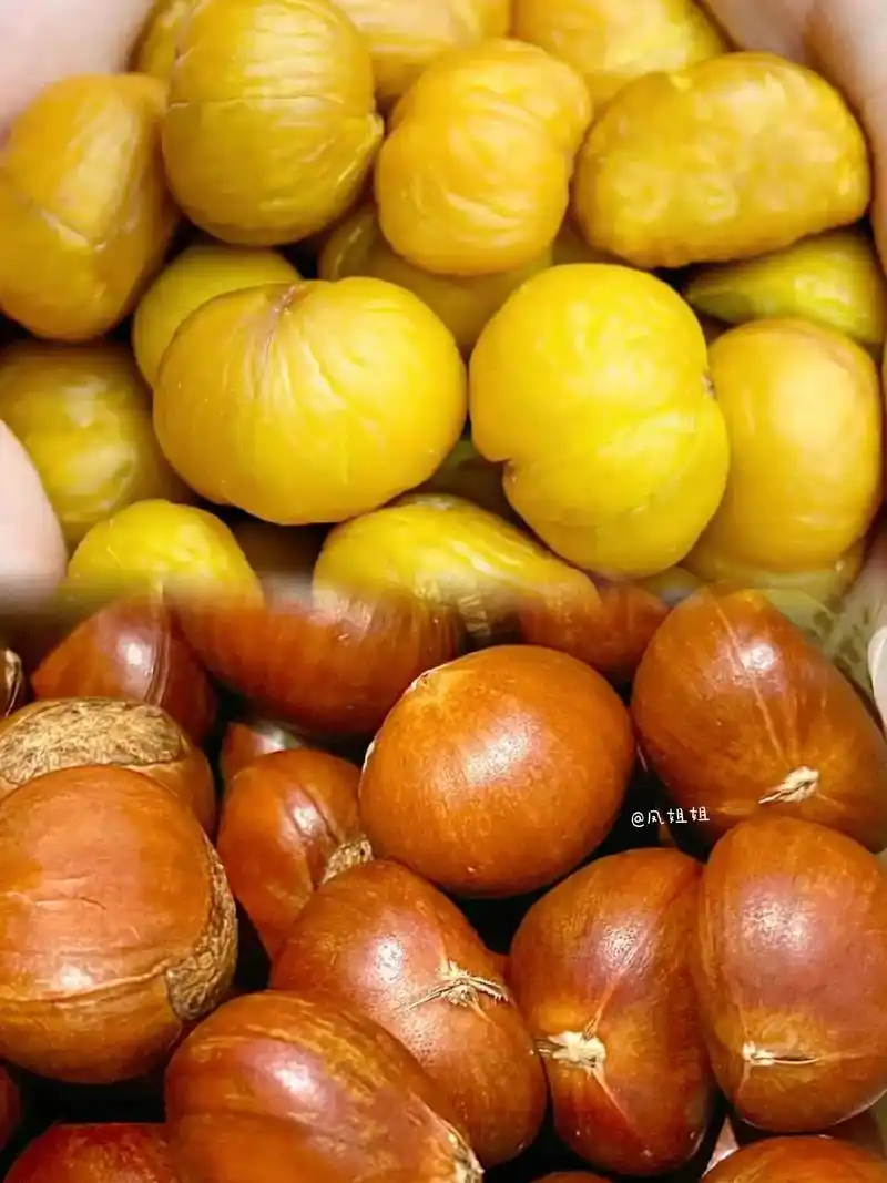 板栗丰收时节,它的功效与作用有哪些?