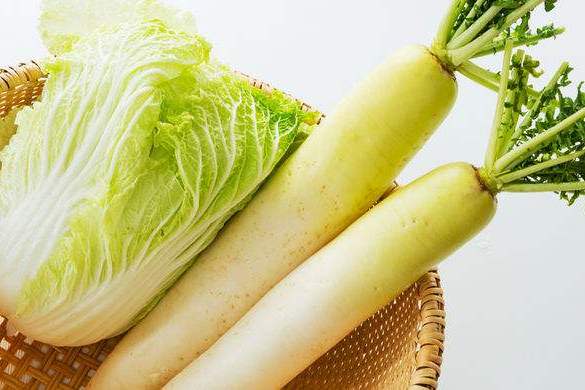 提升免疫呵护肠道健康，常吃萝卜白菜，补充多元营养！